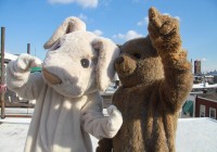 anmlhse-mascots