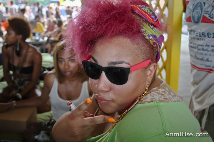 Photos 2011 Mad Decent Block Party Philly