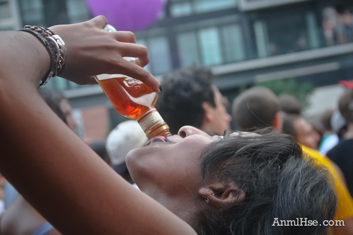 Photos 2011 Mad Decent Block Party Philly